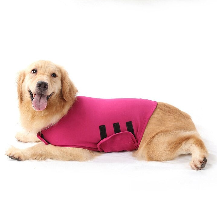 Dog Anxiety Vest